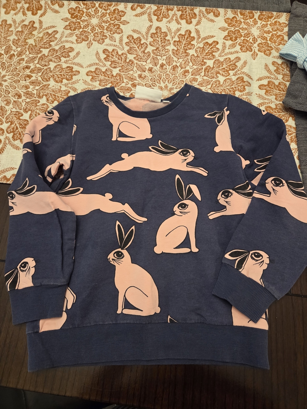 mini rodini Rabbits Sweatshirt Bunny Print Blue & Pink Size 116 (122)